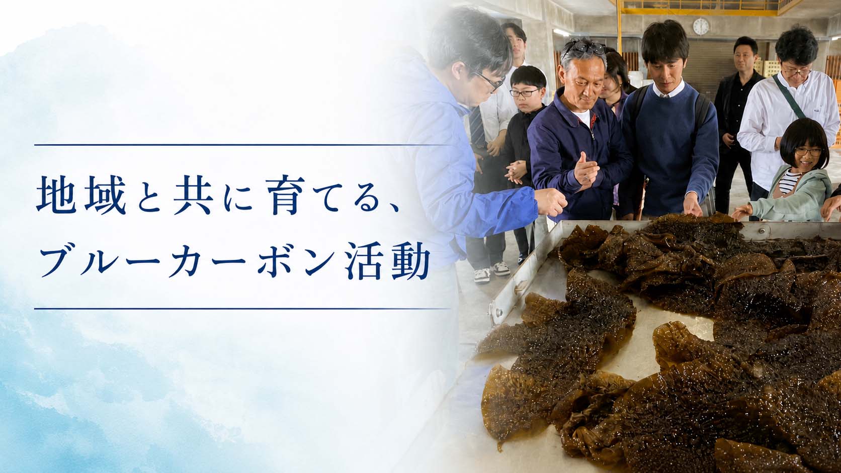 地域と共に育てる、ブルーカーボン活動